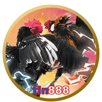 tin888
