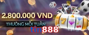tin888