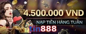 tin888