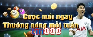tin888